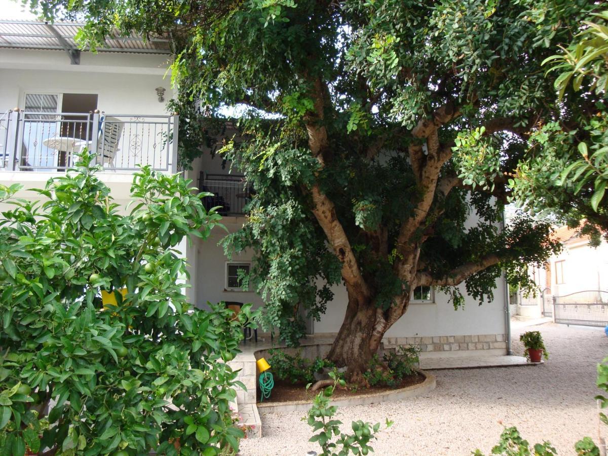 Apartments By The Sea Orebic, Peljesac - 4490 Εξωτερικό φωτογραφία